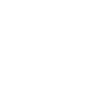 adpassion logo webdesign bolzano waldemar kerschbaumer